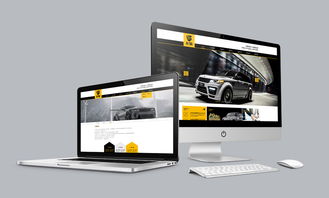 龙骑 润滑油品牌 产品包装设计 品牌推广物料设计 画册设计 网站设计